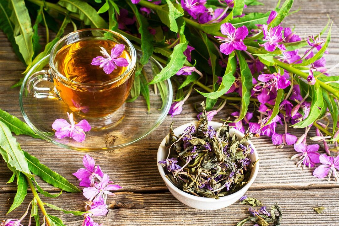Ivan tea increases potency