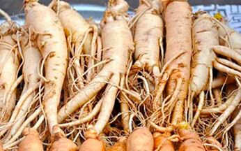 Ginseng root helps stimulate sexual activity in men