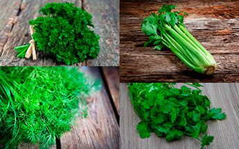 Parsley, celery, dill and cilantro should be introduced into a man's diet for increased potency