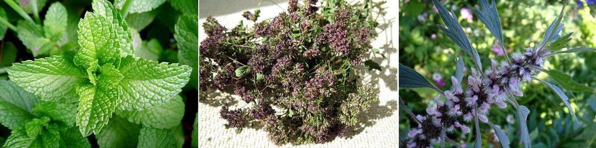 herbs that cause testicular pain